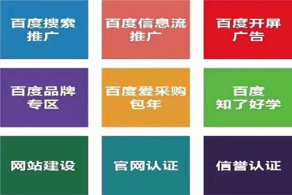 案例研究：SEM推广助力企业业绩增长